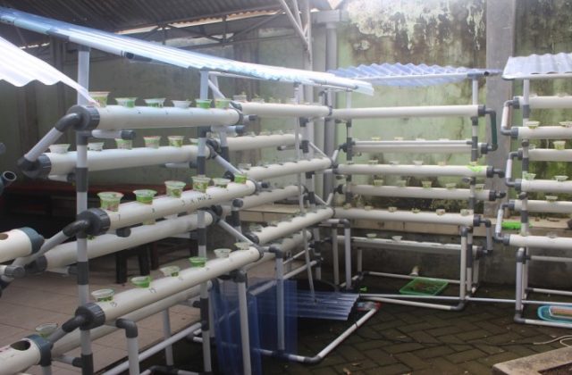 MENJAGA SEMANGAT ADIWIYATA, SMALA KEMBANGKAN HIDROPONIK