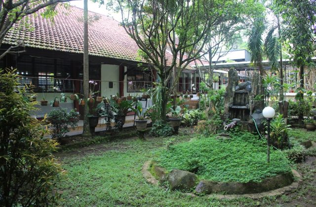 Taman