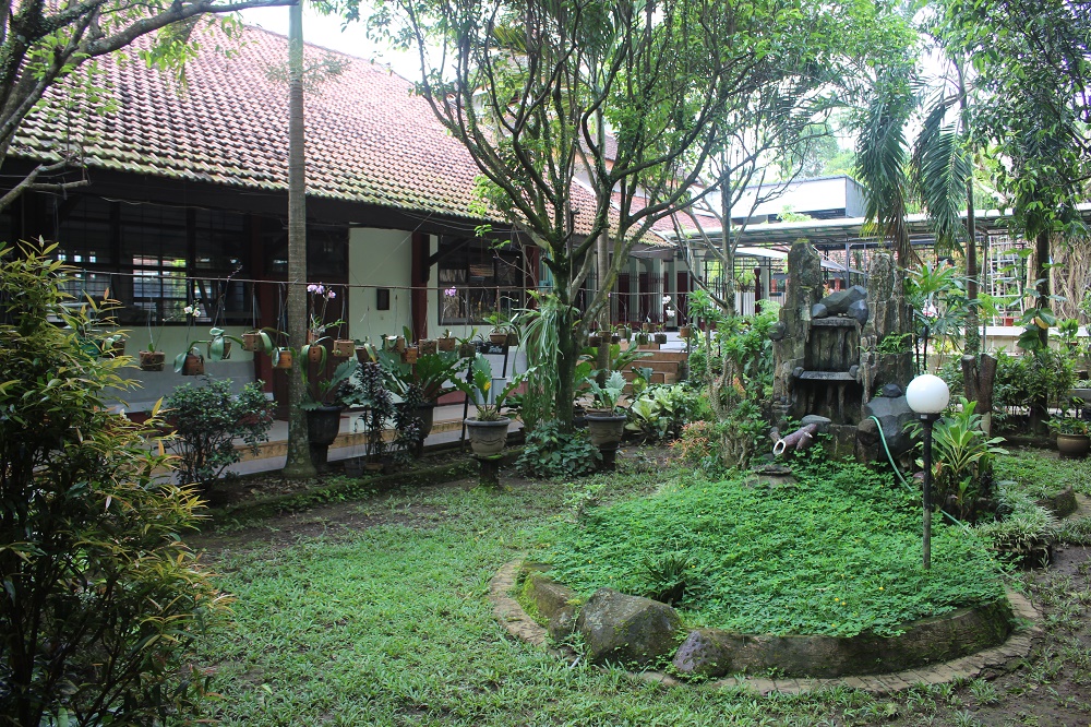 Taman